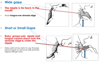 good vs poor latch